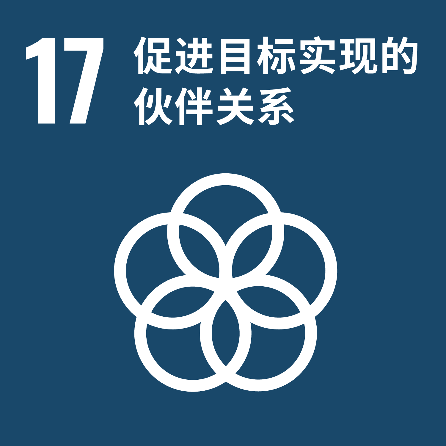 C-WEB-Goal-17.png C-WEB-Goal-17.png
